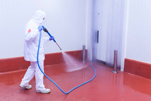 Best Sign and Awning Cleaning  in Zimmerman, MN